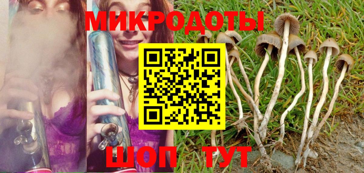 Галлюциногенные грибы Cubensis  где купить   Вход с VPN  Псков  Псилоцибиновые грибы Magic Shrooms 